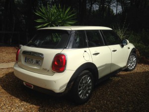 mini